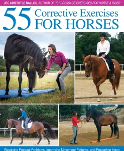 Outlet TRAFALGAR SQUARE 55 Corrective Exercises for Horses