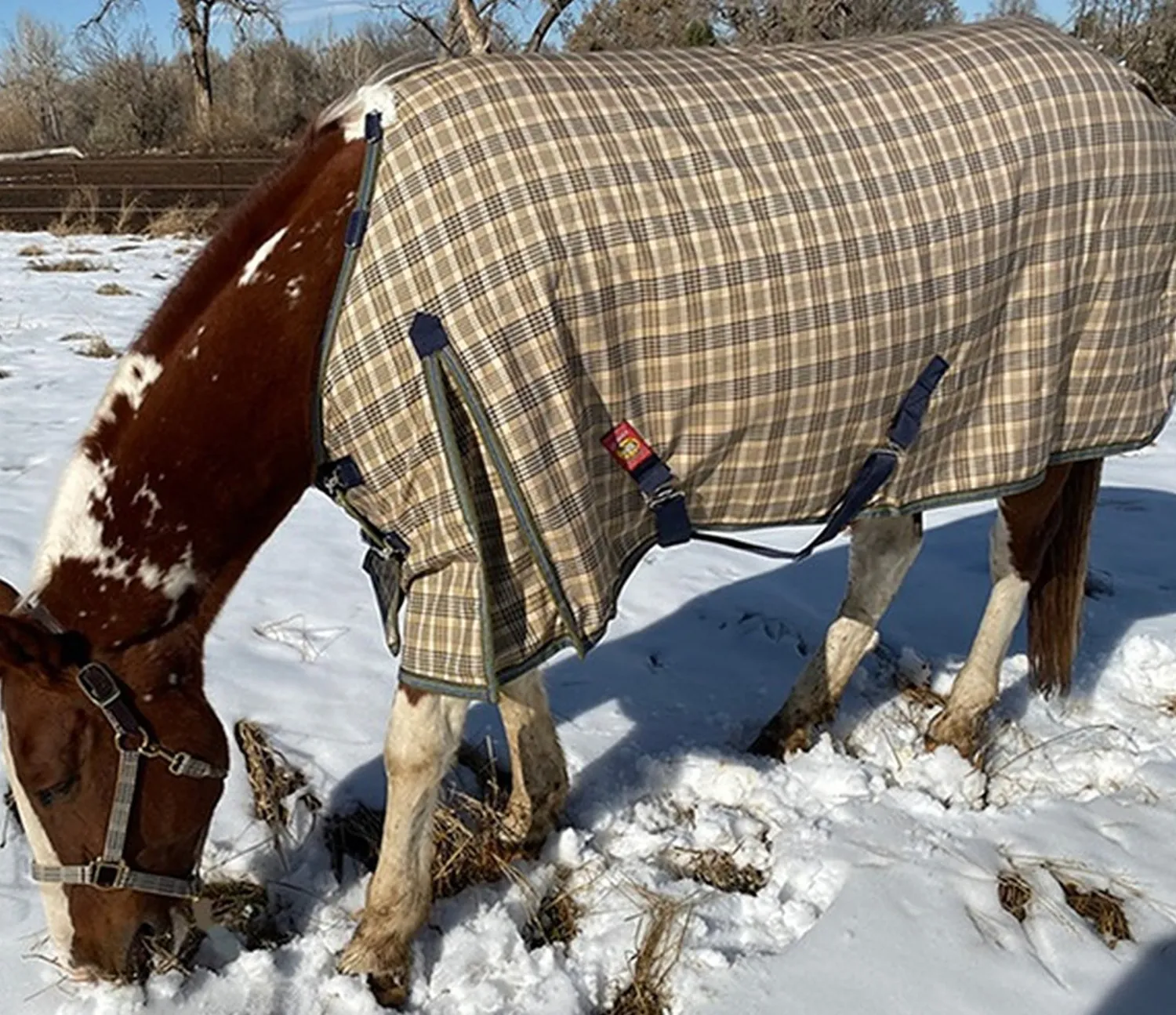 Discount JACKS MFG 5/A Baker® Extreme 555 Gram Turnout Blanket Baker Plaid