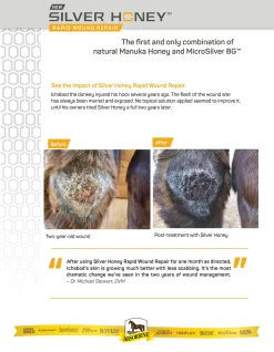 Online ANIMAL HEALTH INT Absorbine® Silver Honey® Rapid Skin Relief Medicated Shampoo