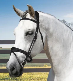Discount FRANTISI Acavallo® Maesta Bridle Black/Black