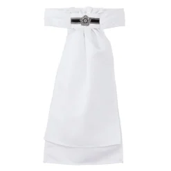 Clearance ALL TIED UP Fancy Stock Tie