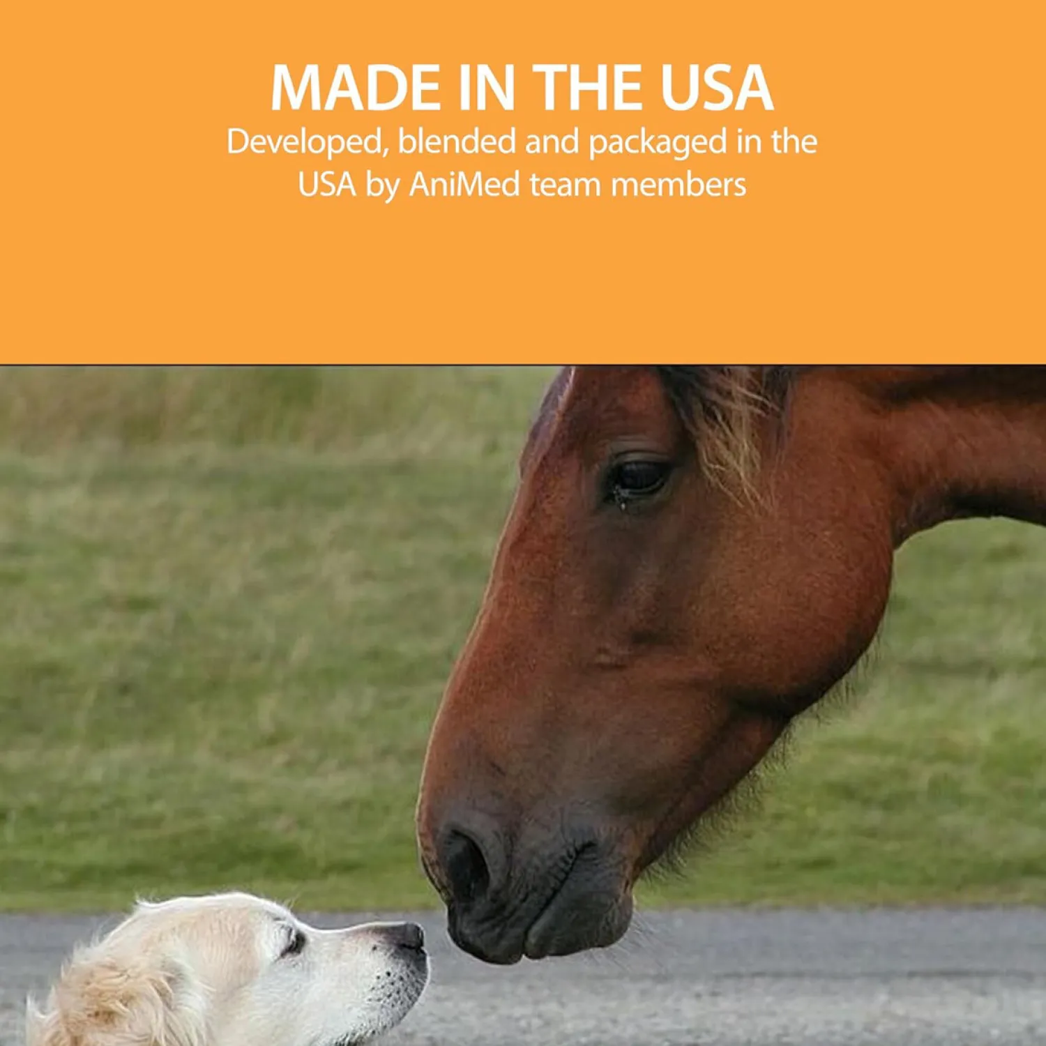 Sale ANIMAL HEALTH INT AniMed™ Remission - 4 lb