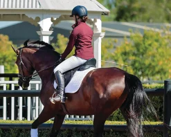 Hot SADDLERY BRANDS INTL Arena Dressage Saddle Black