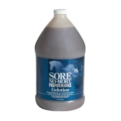 Best RJ MATTHEWS Arenus® Sore No-More® Performance Gelotion