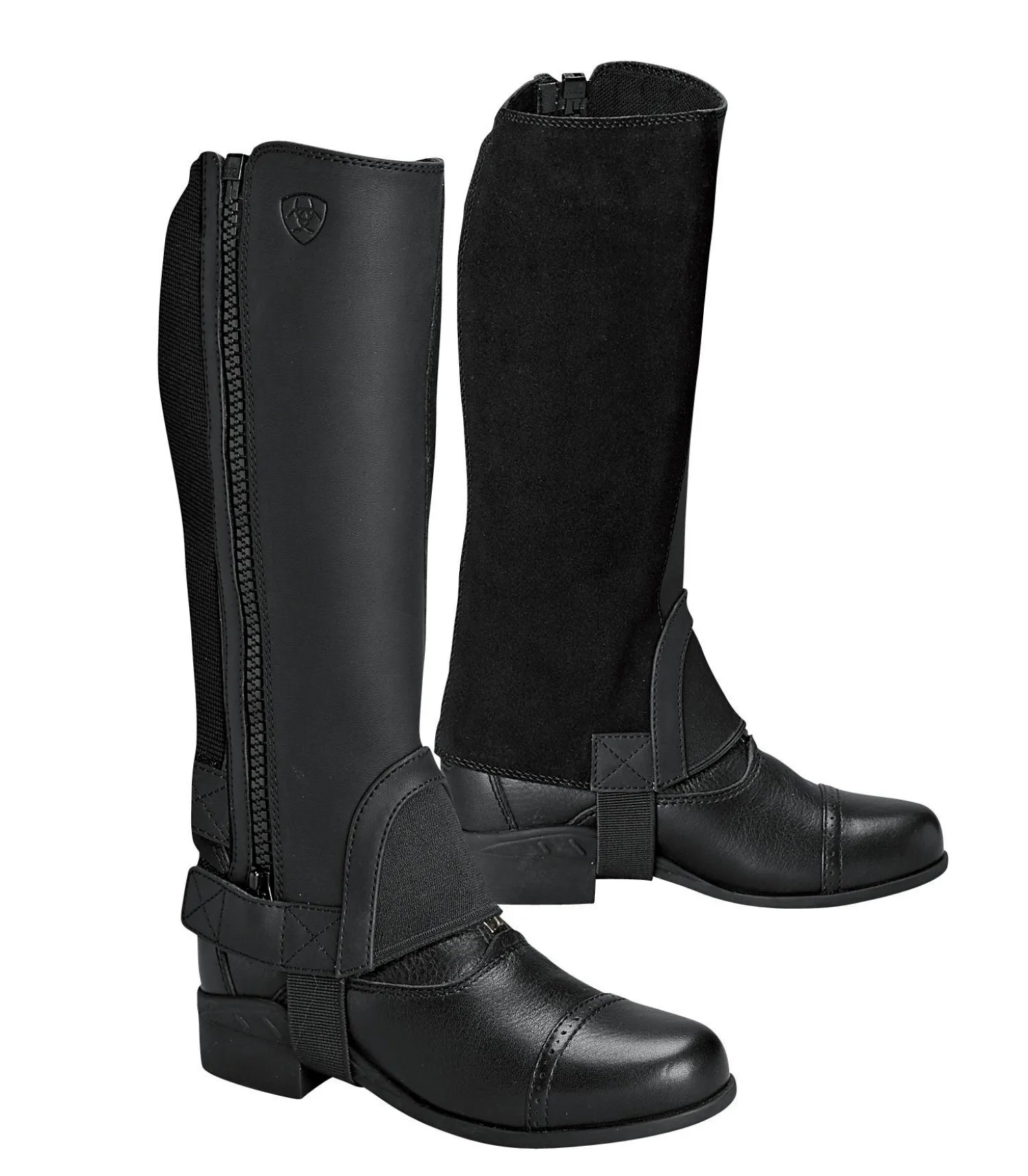 Hot ARIAT ® Children's Scout Half Chap Black