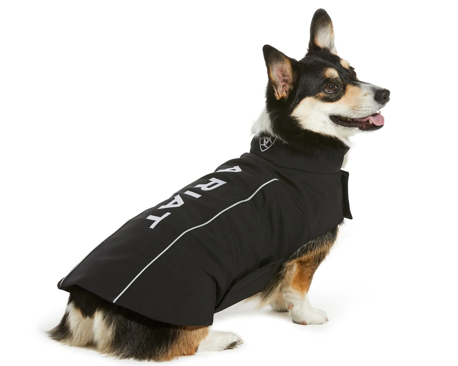 Online ARIAT-ACCESSORIES Ariat® Team Soft Shell Dog Jacket