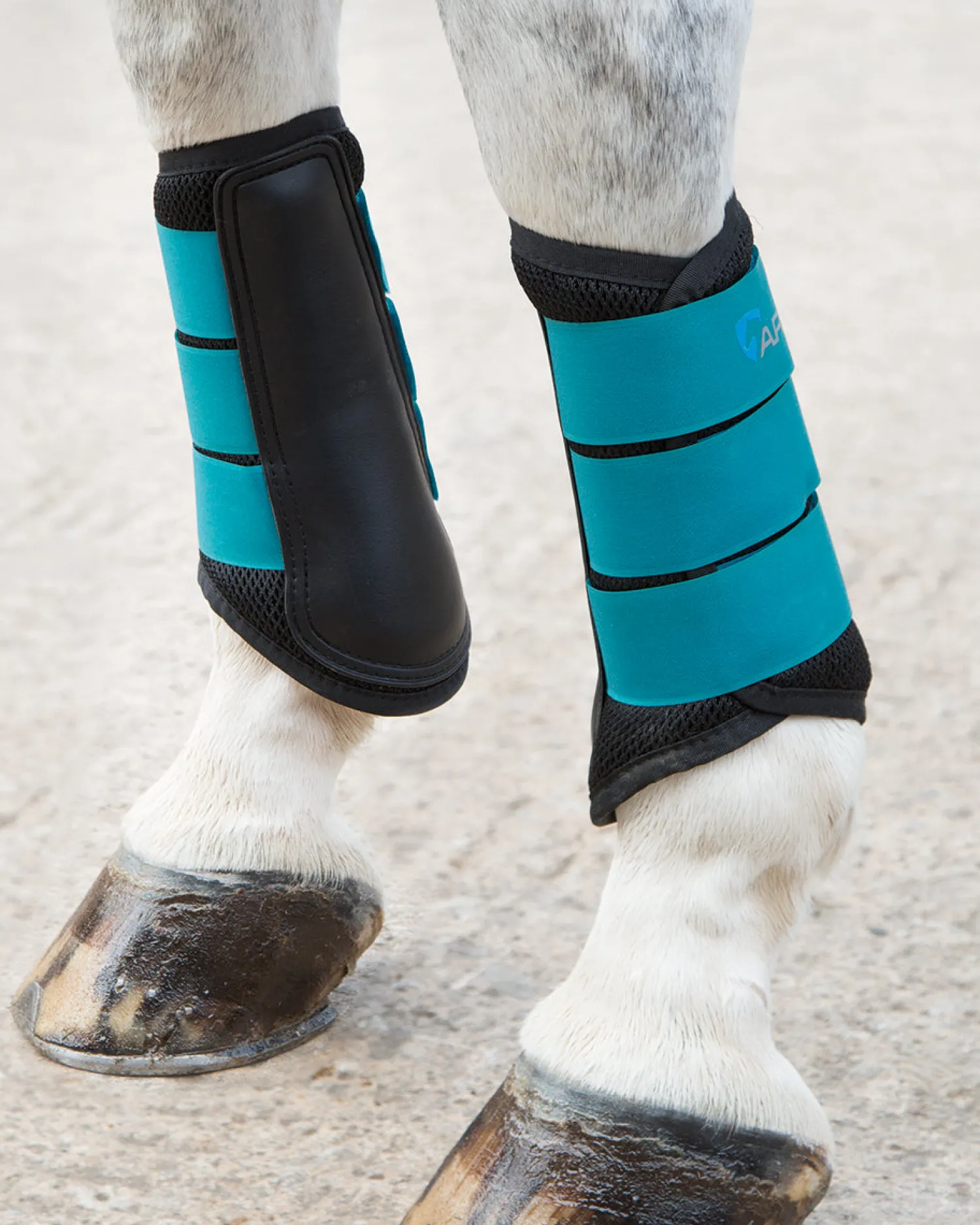 Online SHIRES EQUESTRIAN ARMA Air Motion Brushing Boots