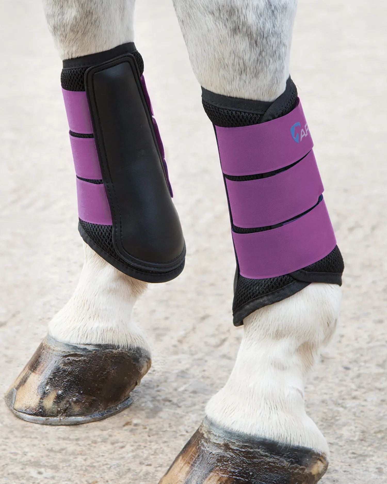 Online SHIRES EQUESTRIAN ARMA Air Motion Brushing Boots