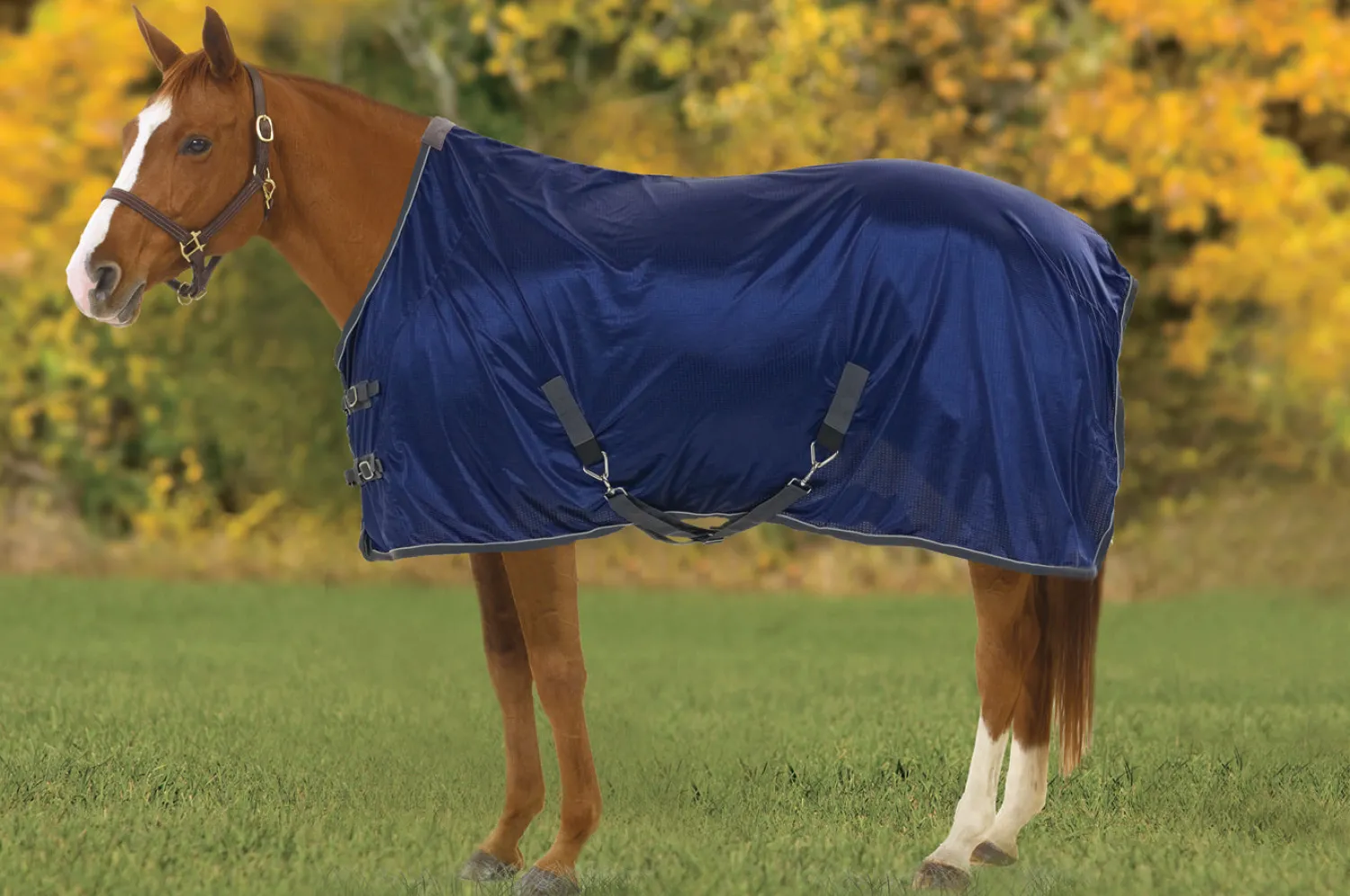 Online ERS Athletic Airflex™ Stable Sheet