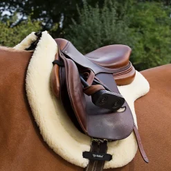 New BACK ON TRACK BOT LL Back on Track® All-Purpose Teddy Saddle Pad White