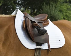 New BACK ON TRACK BOT LL Back on Track® All-Purpose Saddle Pad