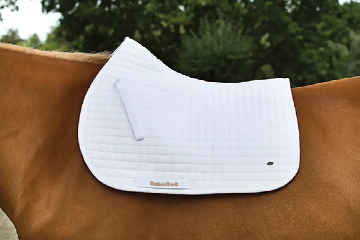New BACK ON TRACK BOT LL Back on Track® All-Purpose Saddle Pad