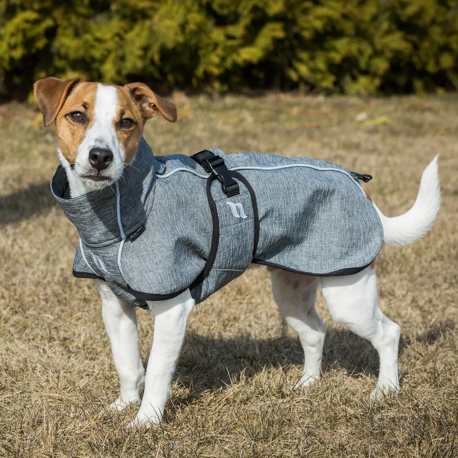 Outlet BACK ON TRACK BOT LL Back on Track® Bark Small Dog Coat