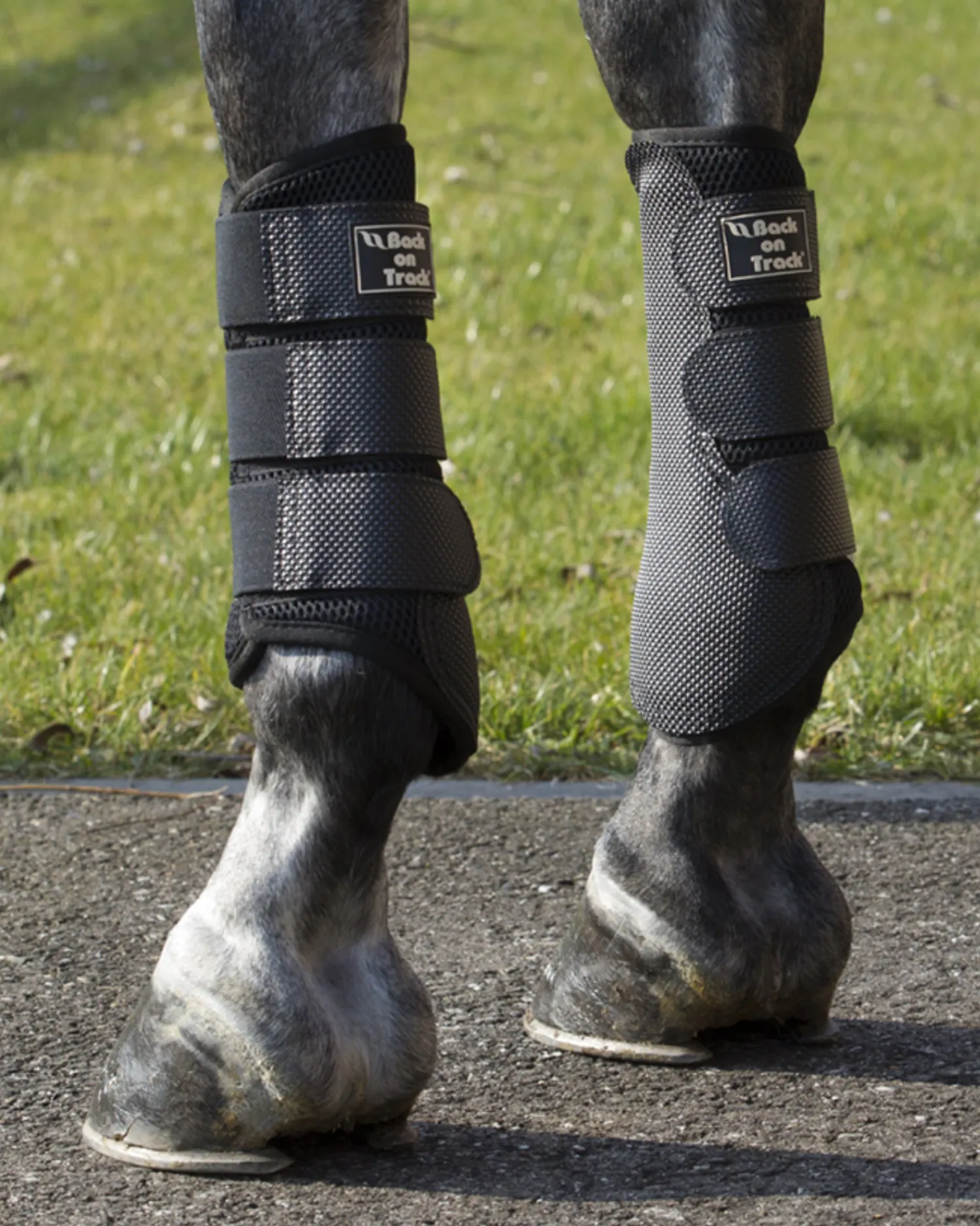 Clearance BACK ON TRACK BOT LL Back on Track® 3D Mesh Splint Boots