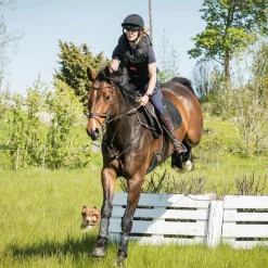 Outlet BACK ON TRACK BOT LL Back on Track® Deep Nights Brush Boots