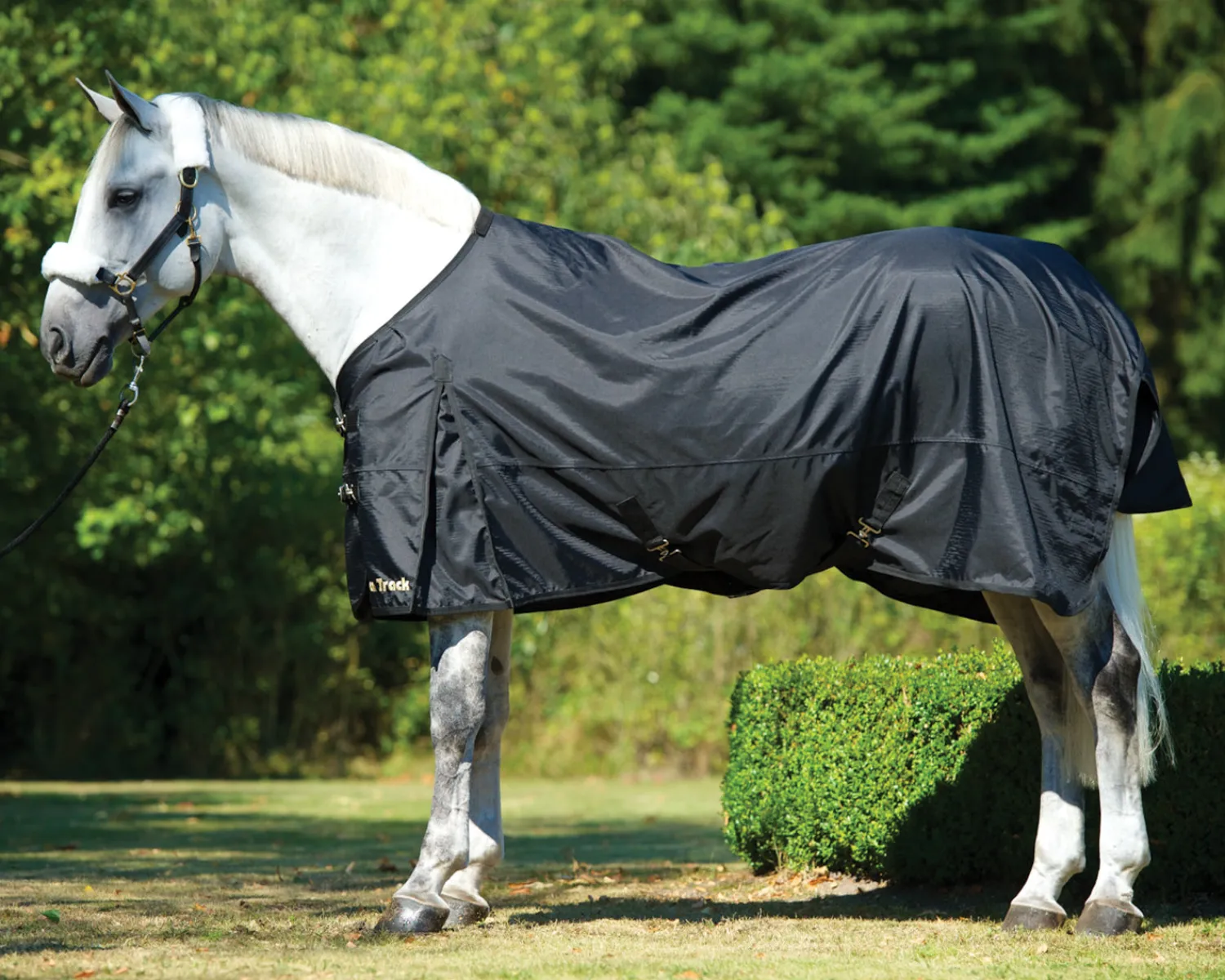 Online BACK ON TRACK BOT LL Back on Track® Equine Turnout Sheet Black
