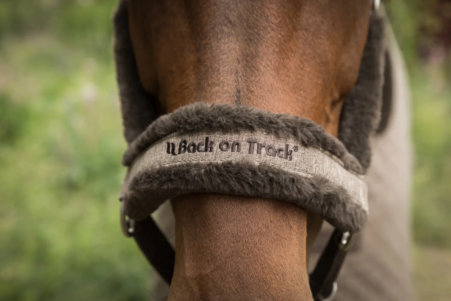 Online BACK ON TRACK BOT LL Back on Track® Haze Collection Halter