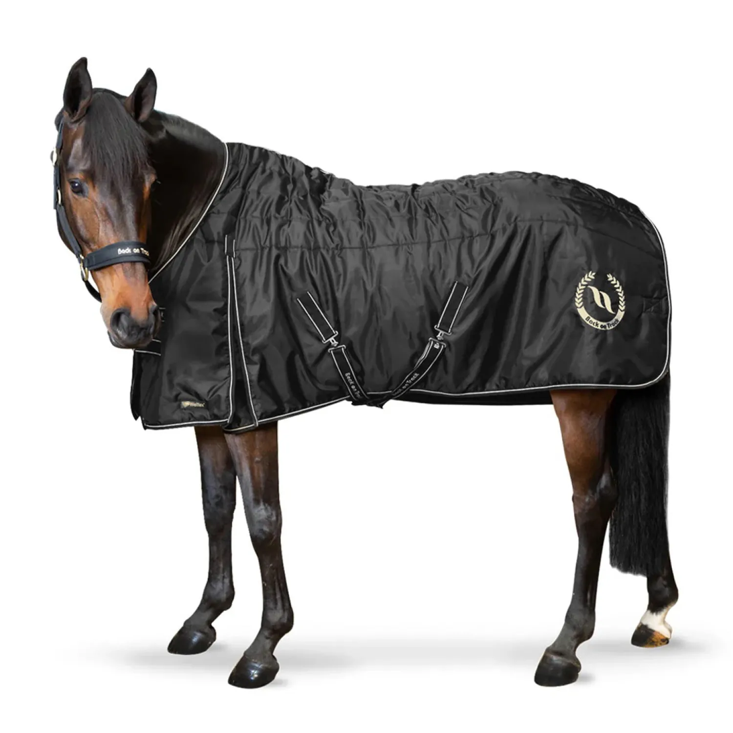 BACK ON TRACK BOT LL Back on Track® Millie Stable Blanket 100G with Woven Lining Black