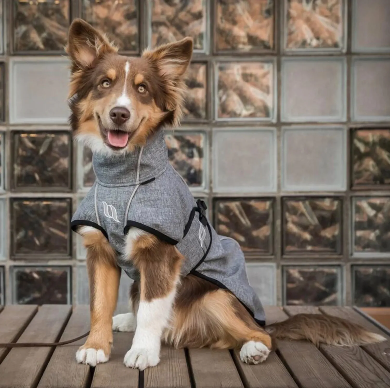 Best BACK ON TRACK BOT LL Back on Track® Nella Small Dog Coat