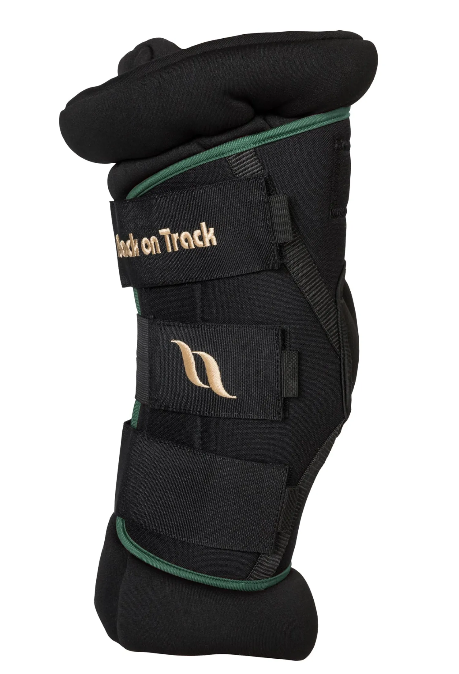 BACK ON TRACK BOT LL Back on Track® Royal Padded Hock Boots Deluxe