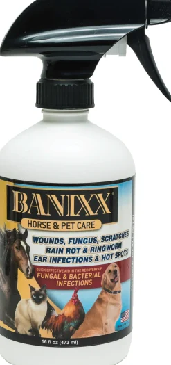 Clearance ANIMAL HEALTH INT Banixx® Horse & Pet Care