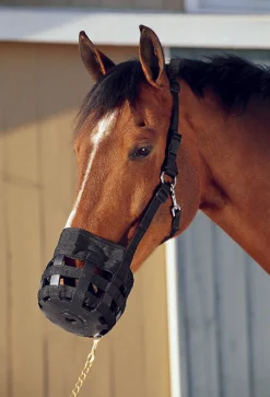 Hot INTREPID INTL Best Friend® All-In-One Grazing Muzzle Black