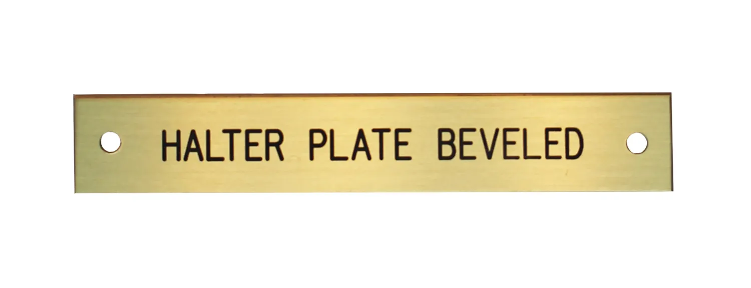 New DOVER DROPSHIP Beveled Edge Halter Nameplate - 3 lines