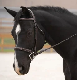Sale KL SELECT Black Oak Cypress Hunter Bridle Brown