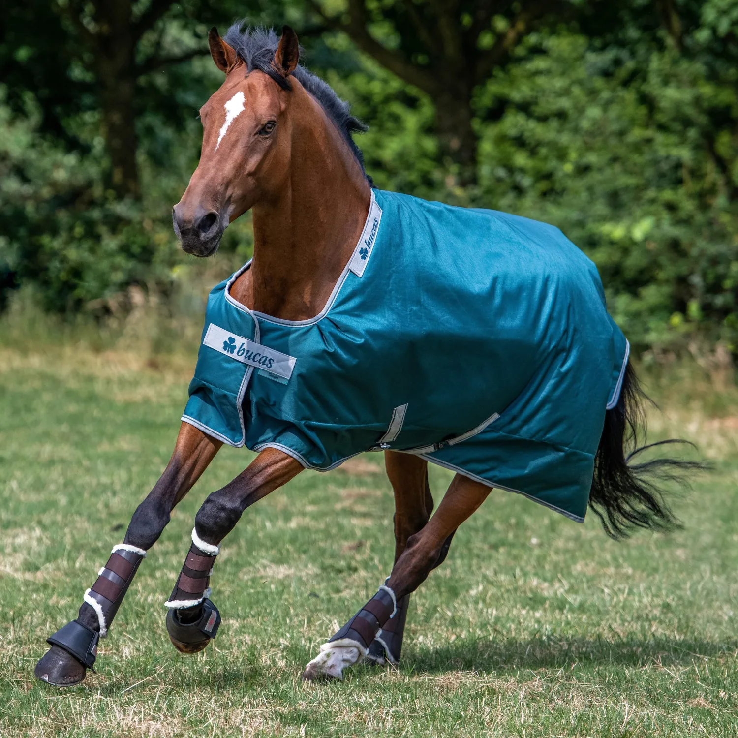 Best TOKLAT ORIGINALS Bucas Atlantic 200 Gram Turnout Blanket