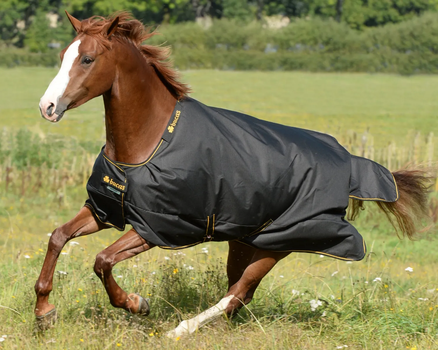 Outlet TOKLAT ORIGINALS Bucas Irish Classic Lightweight Turnout Blanket