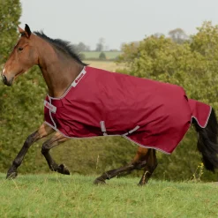 Outlet TOKLAT ORIGINALS Bucas Irish Classic Lightweight Turnout Blanket