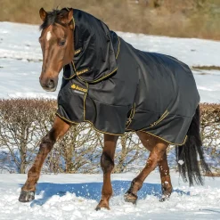 Best TOKLAT ORIGINALS Bucas Irish Extra Classic Heavyweight Turnout Blanket