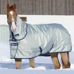 Best TOKLAT ORIGINALS Bucas Power All-In-One Classic Heavyweight Turnout Blanket Silver