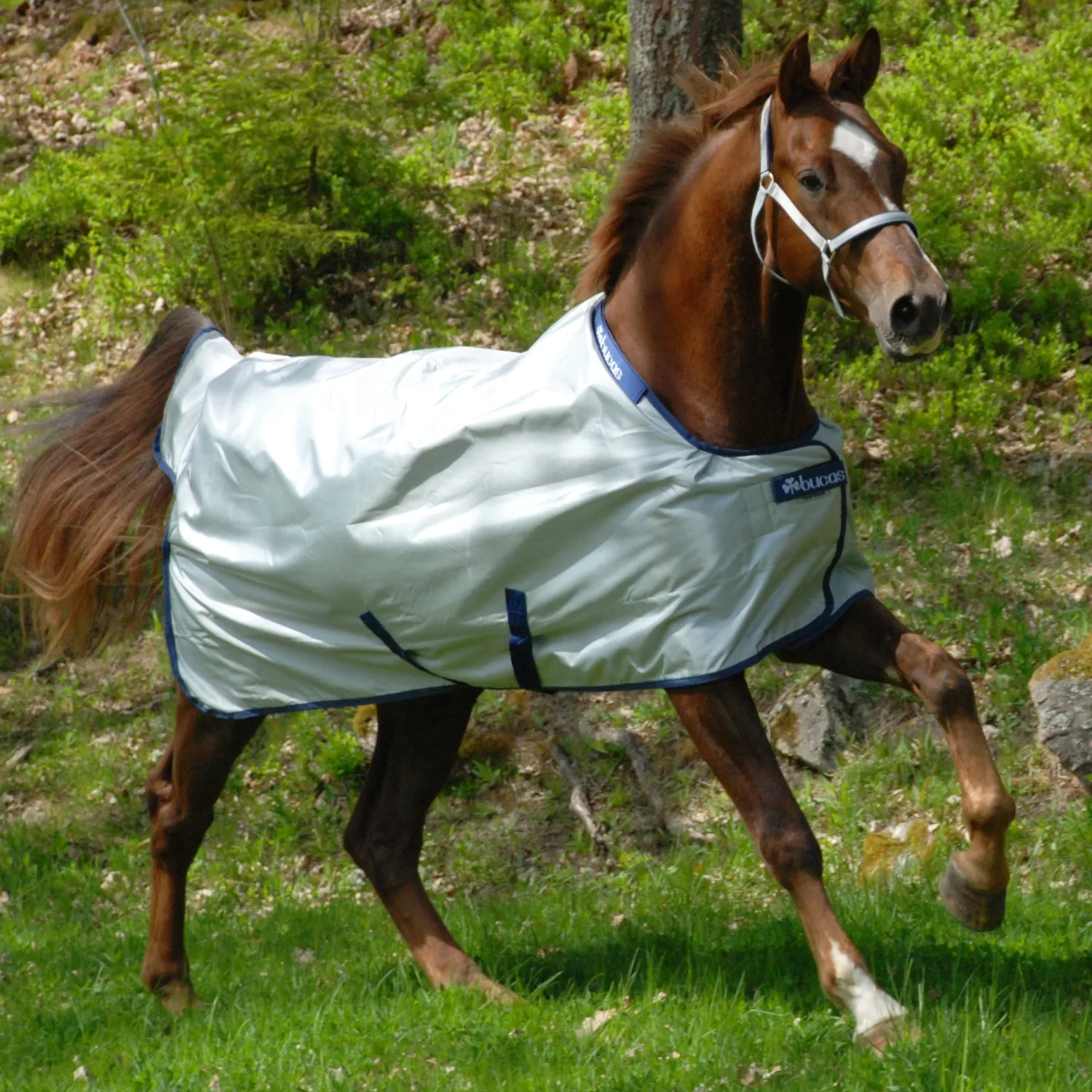 Discount TOKLAT ORIGINALS Bucas Power Classic Lightweight Turnout Blanket Silver