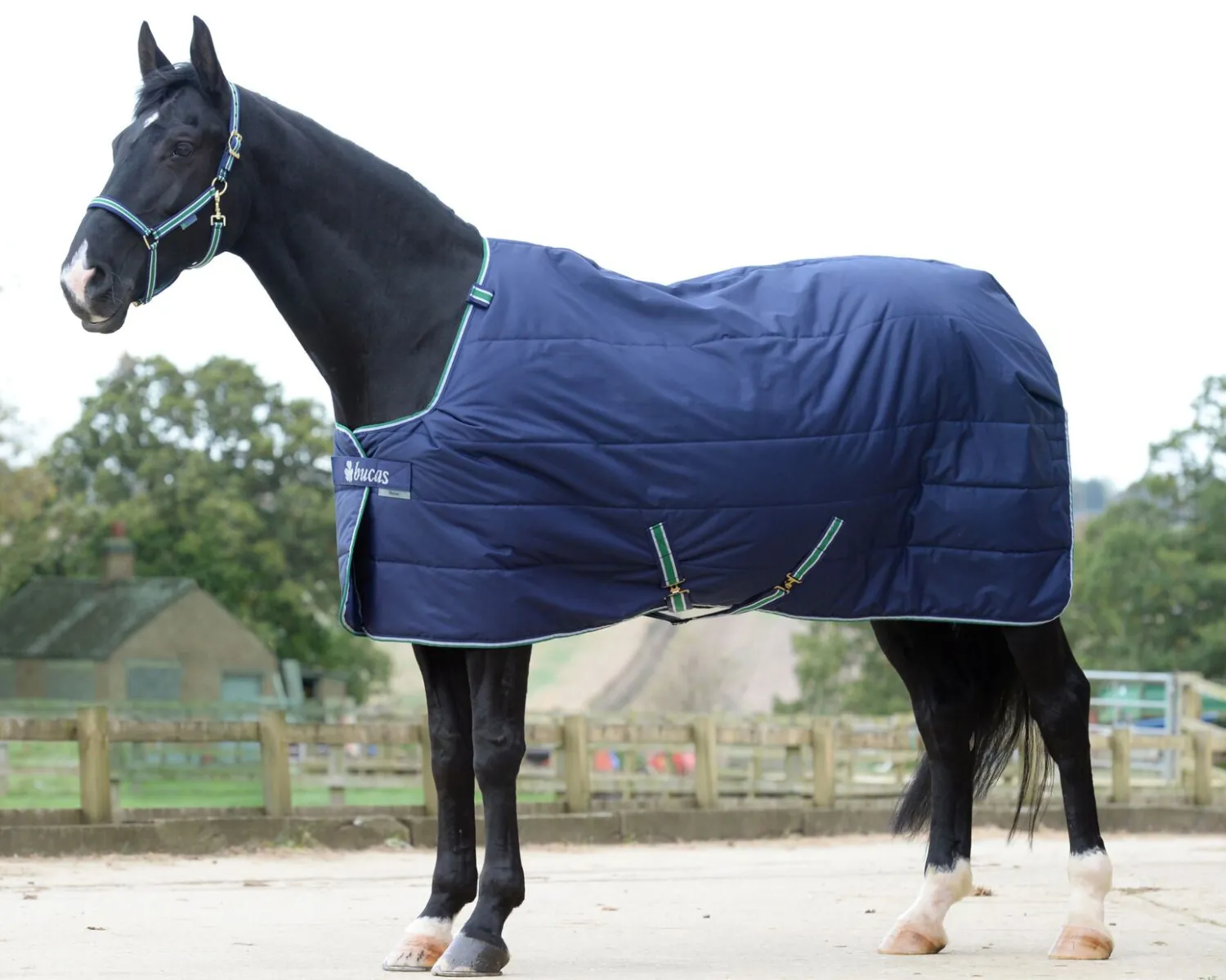 Discount TOKLAT ORIGINALS Bucas Quilt Heavyweight Stable Blanket with Stay-Dry Lining - 300 grams Navy