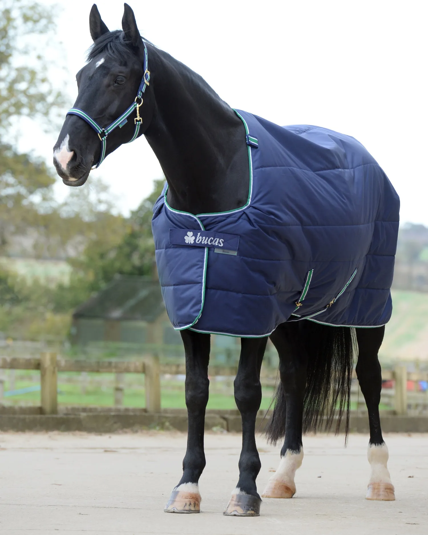 Discount TOKLAT ORIGINALS Bucas Quilt Heavyweight Stable Blanket with Stay-Dry Lining - 300 grams Navy