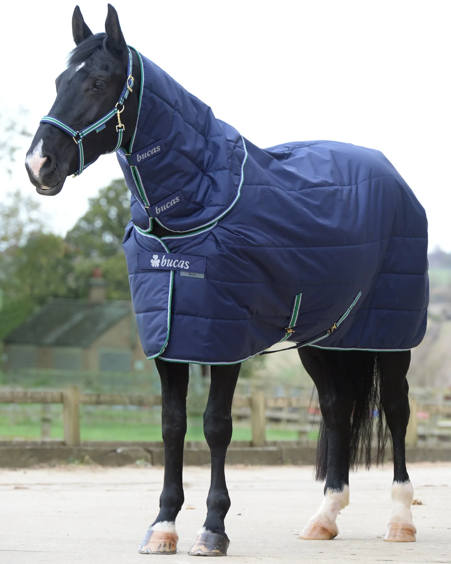 Sale TOKLAT ORIGINALS Bucas Quilt Stable Blanket Combi Neck Cover Navy