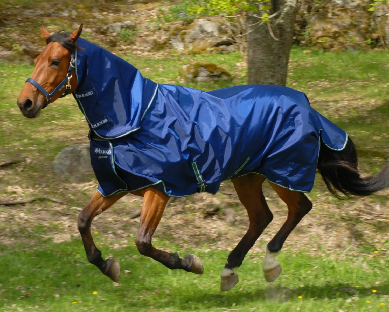Best TOKLAT ORIGINALS Bucas Smartex Rain/Turnout Sheet Navy