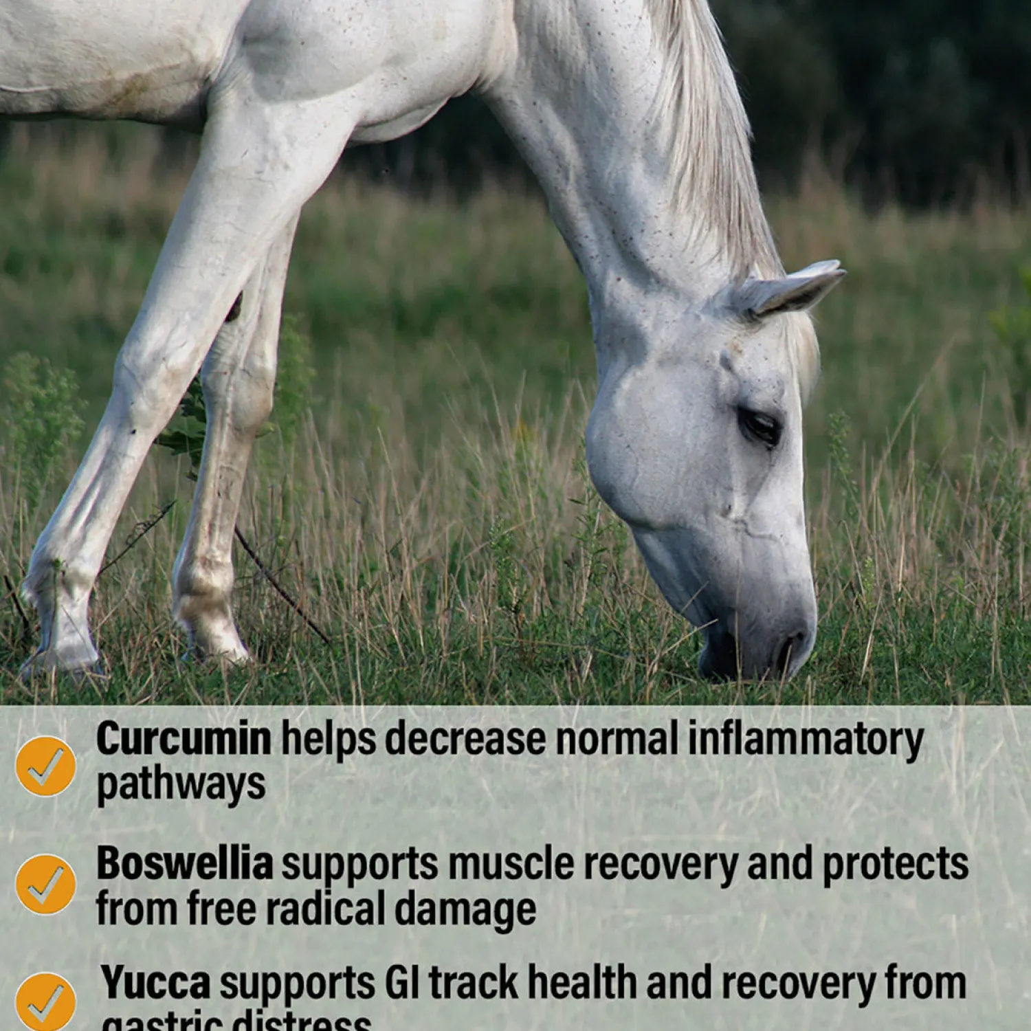 Discount ANIMAL HEALTH INT Bute-Less® Performance Comfort & Recovery Pellets