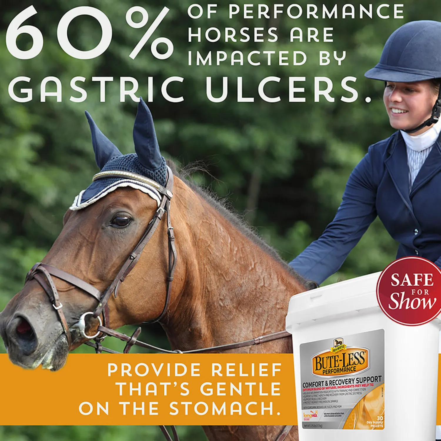 Discount ANIMAL HEALTH INT Bute-Less® Performance Comfort & Recovery Pellets
