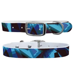 SWYFT PRINTS/C4 C4 Dog Collar