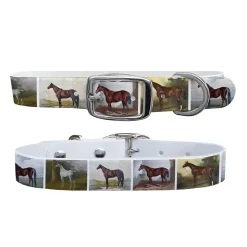 Hot SWYFT PRINTS/C4 C4 Equine Print Dog Collar