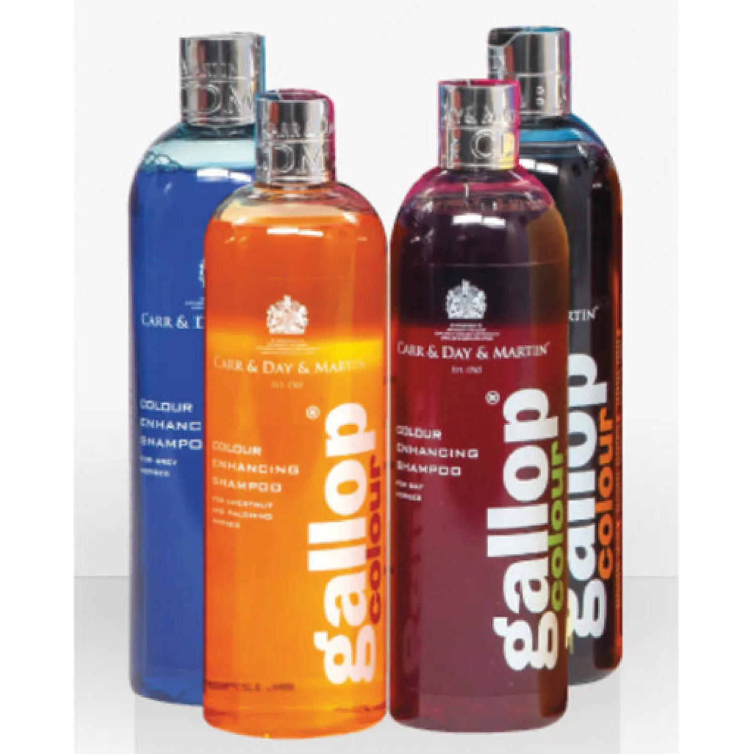 Clearance RJ MATTHEWS Carr & Day & Martin® Gallop Colour Enhancing Shampoo