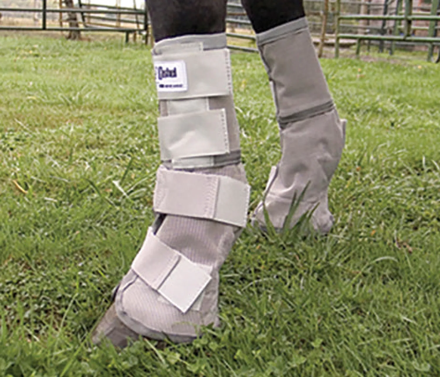 Outlet CASHEL COMPANY Cashel® Cool Crusader™ Leg Guards Grey