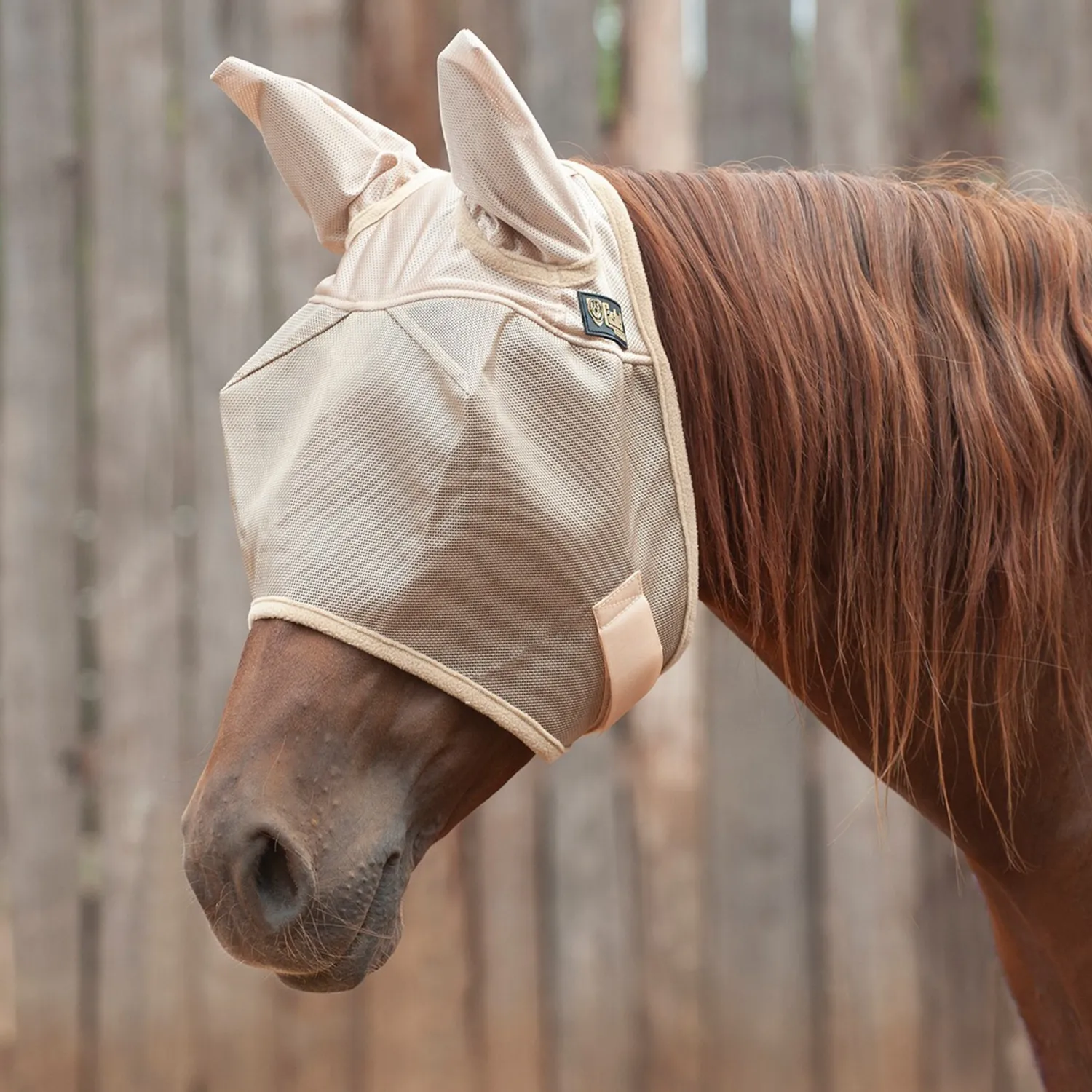 Discount CASHEL COMPANY Cashel® Econo Fly Mask with Ears Gold