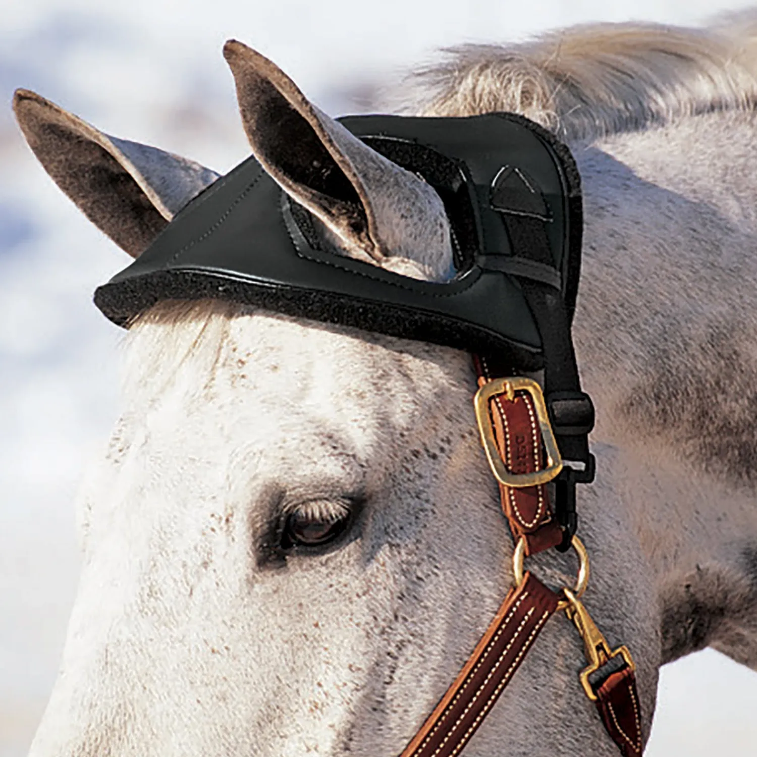 Discount CASHEL COMPANY Cashel® Horse Helmet Dark Green