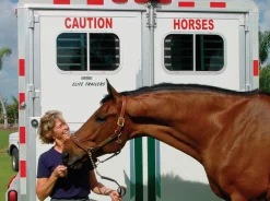 Online CAUTION HORSES SAFET Caution Horses Sign