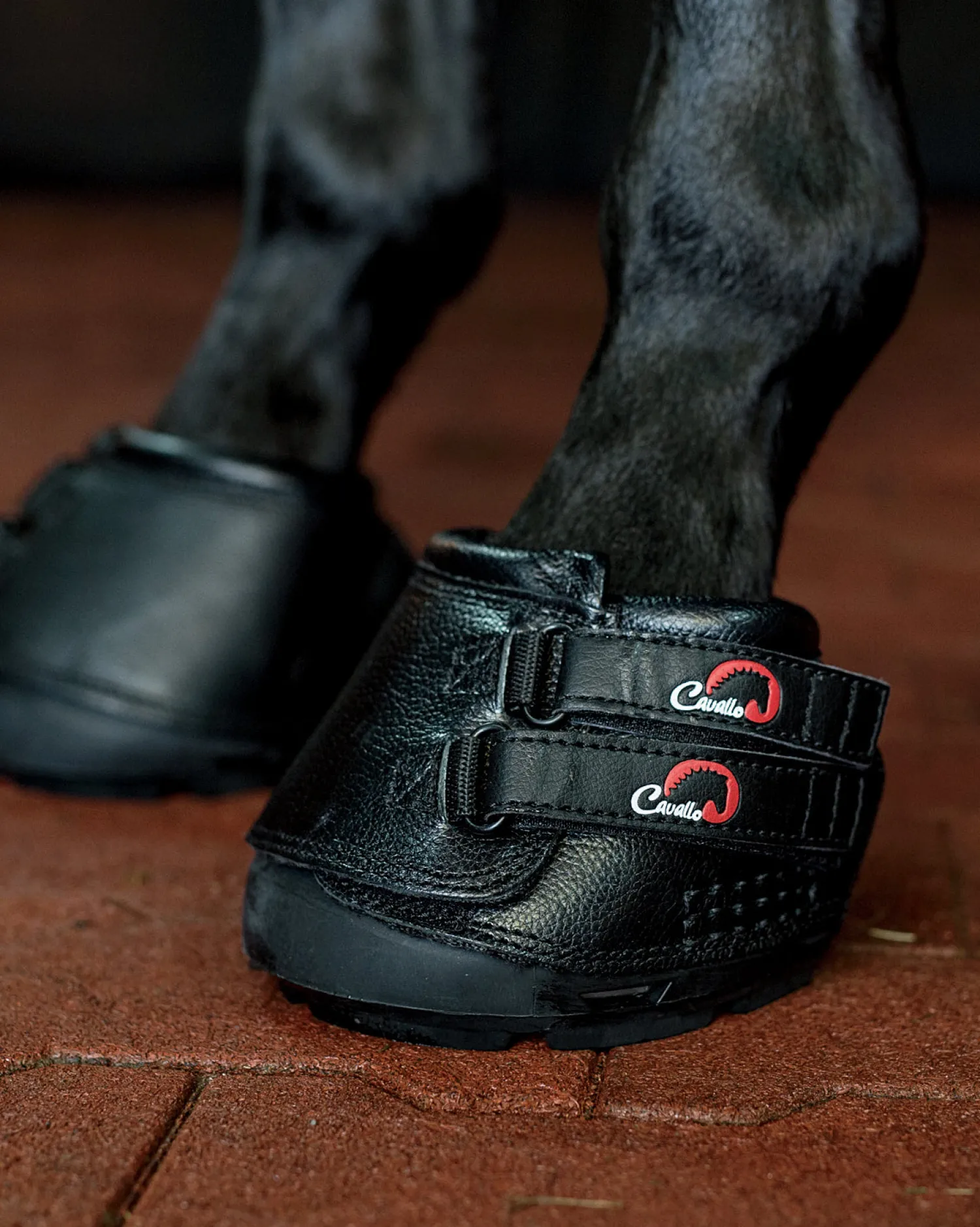 Online TOKLAT ORIGINALS Cavallo™ Simple Horse Boot