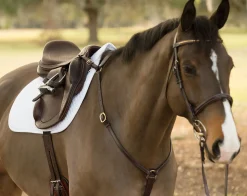 Best CUEROS SANTA CRUZ Circuit™ Premier Monoflap Event Saddle Chocolate