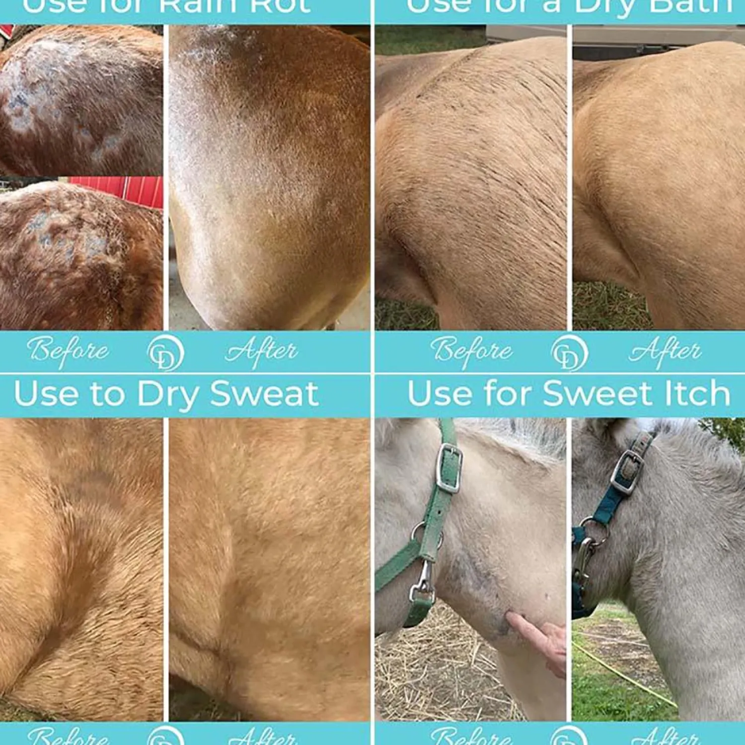 Best HORSEPOWDER INC Coat Defense® Daily Preventative Powder